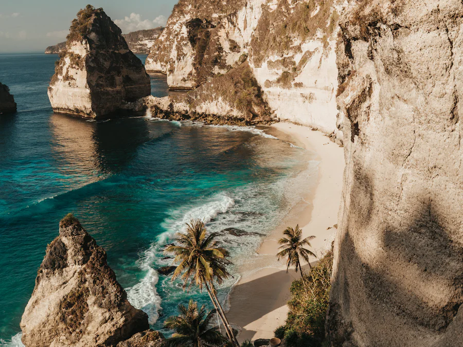 Kelingking Beach cliffs on Nusa Penida