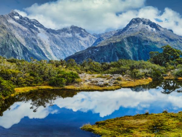 New Zealand fjord between steep green cliffs
